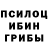 Галлюциногенные грибы GOLDEN TEACHER evilLolka