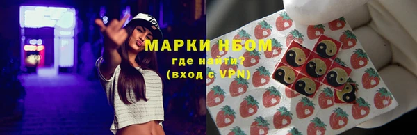ПСИЛОЦИБИНОВЫЕ ГРИБЫ Арсеньев