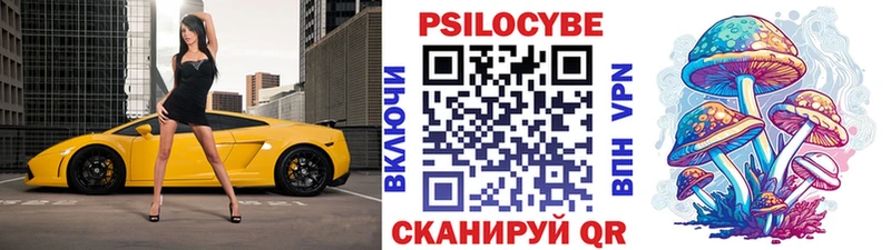 Галлюциногенные грибы мицелий  мега   Кувандык  что такое наркотик 