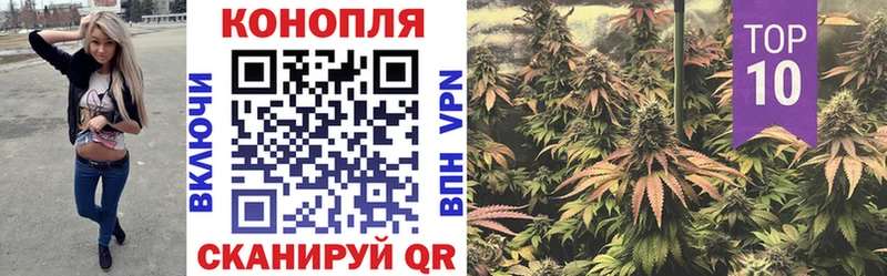 купить   Кувандык  mega tor  Канабис Bruce Banner 